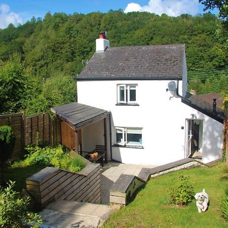 Peacock Cottage Cinderford エクステリア 写真